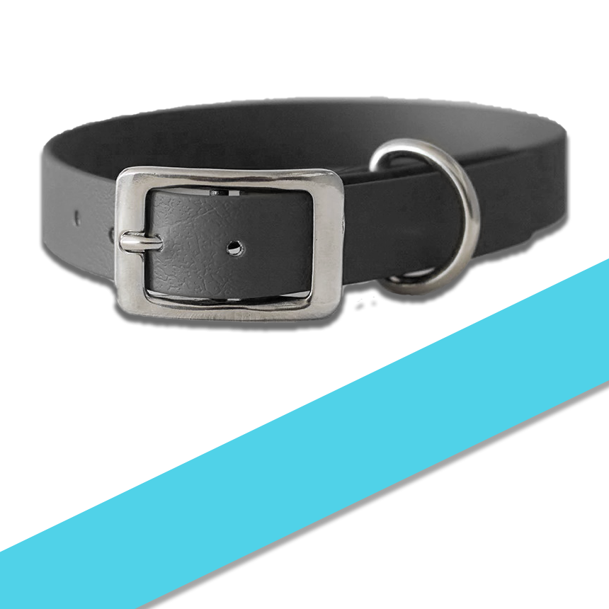 Biothane Halsband - türkis