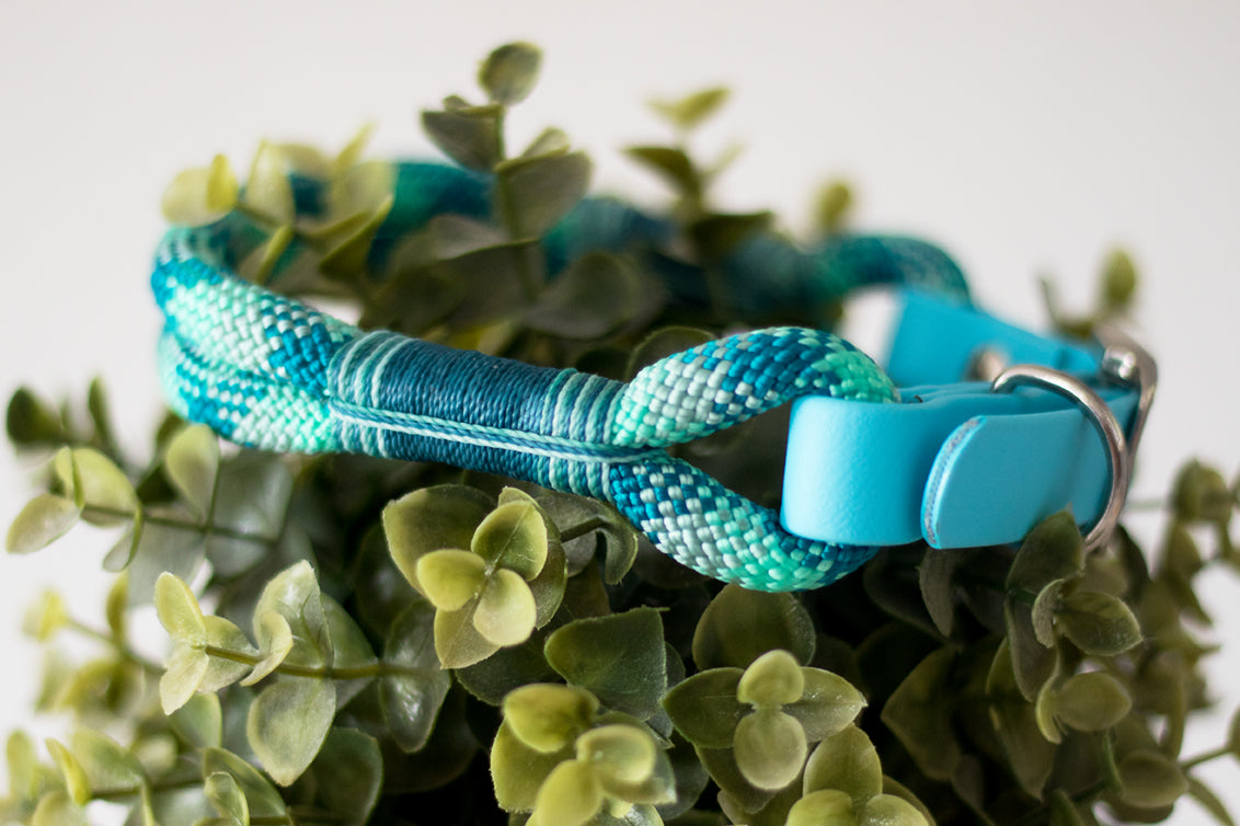 Halsband "Blue Boy" - mit verstellbarem Biothane-Adapter