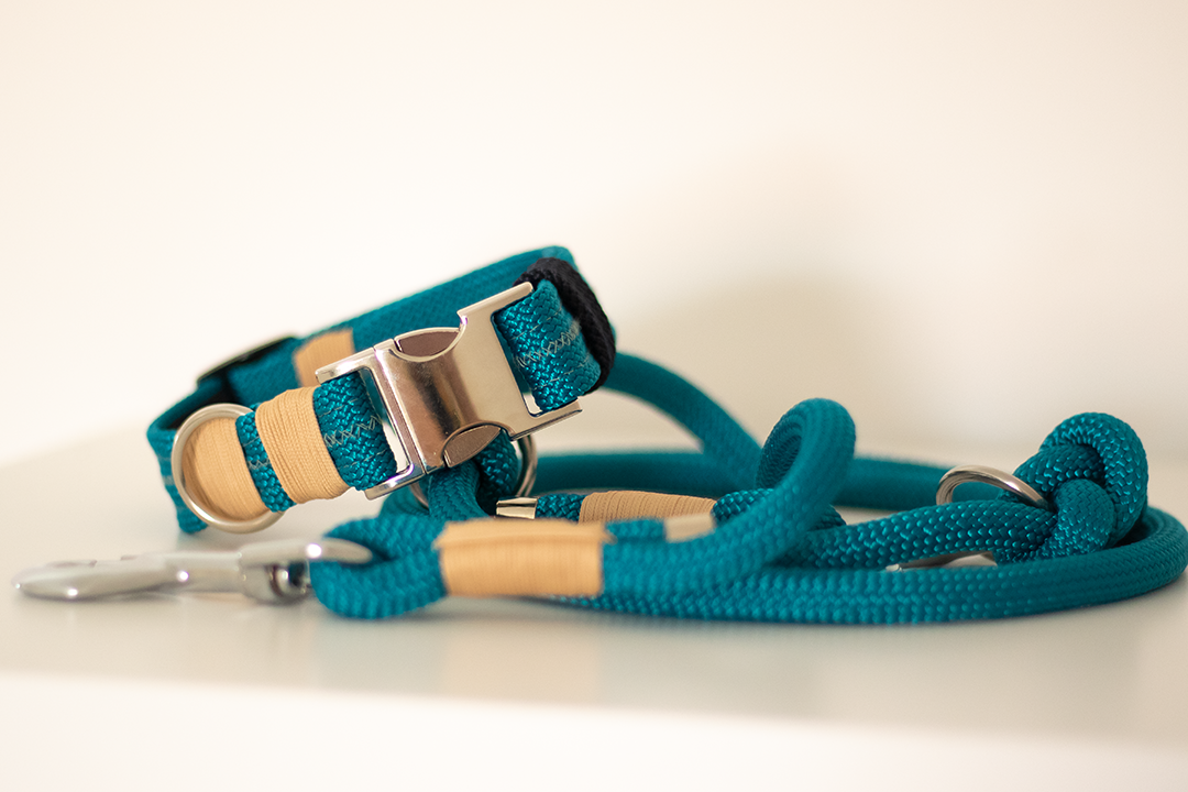 Hundeleine "Aqua"