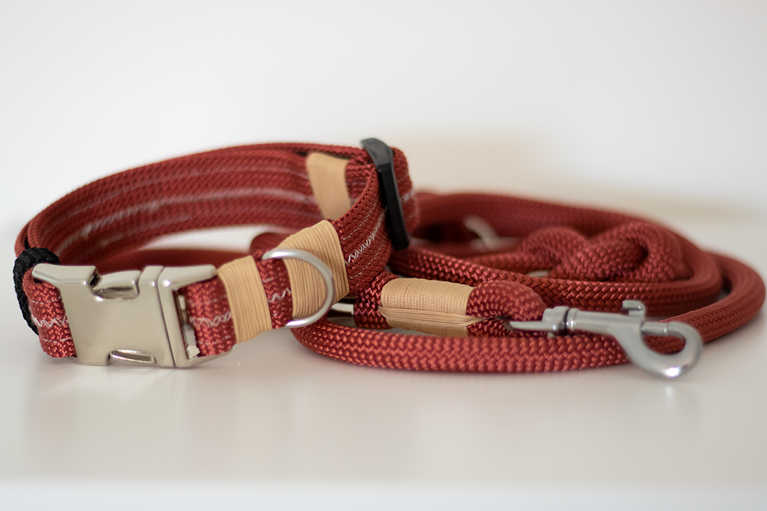 Hundeleine "Red Love"