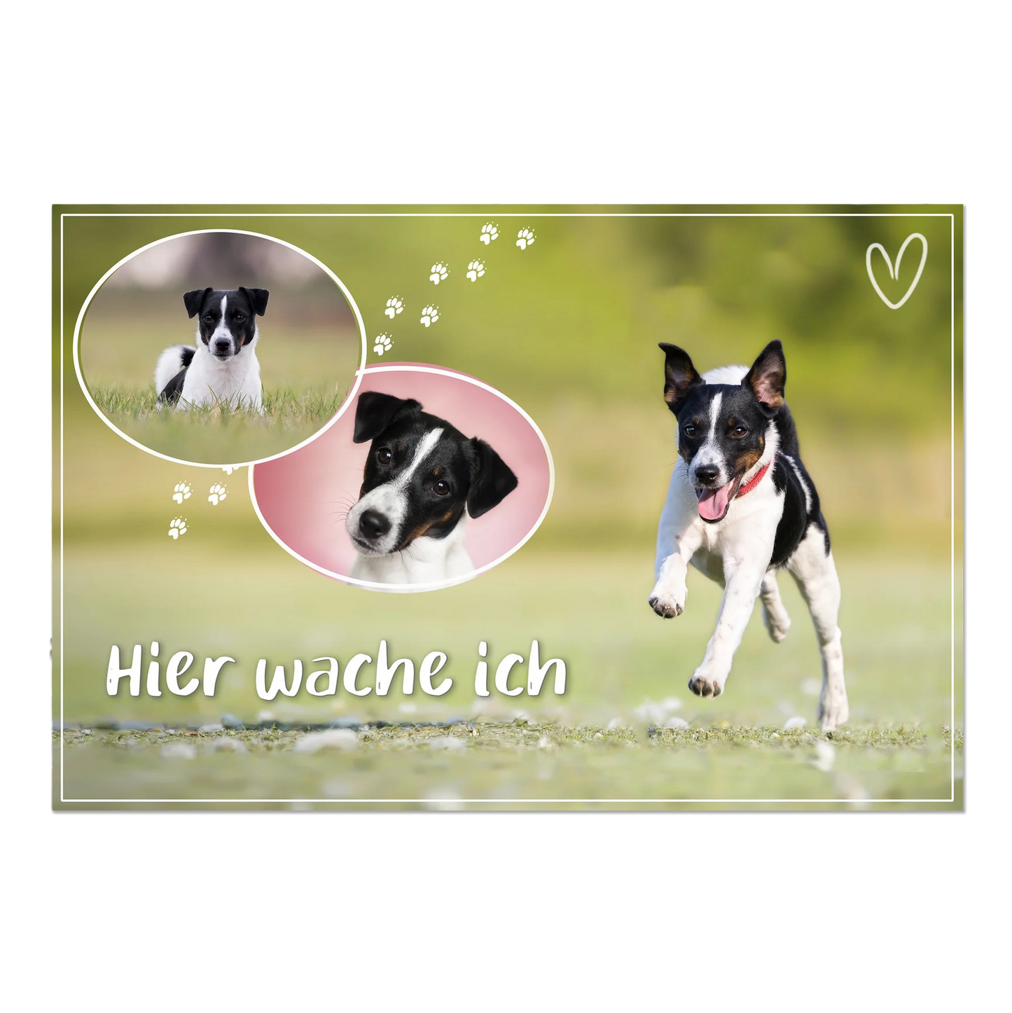Hundeschild - Warnschild Hund- mit deinen Bildern