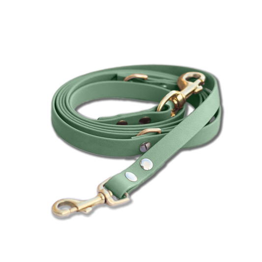 Biothane Hundeleine - mint
