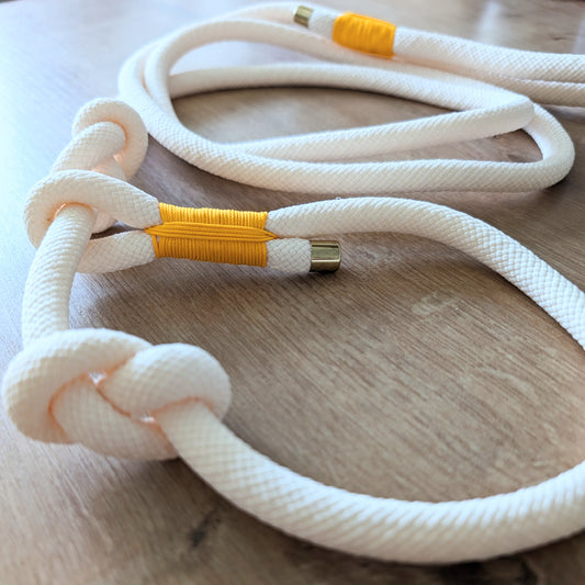 Retrieverleine "Sommergefühle"