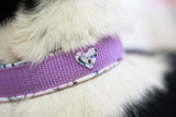 Hundehalsband "Flower Power"