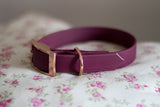 Hundehalsband aus Biothane - verschiedene Farben