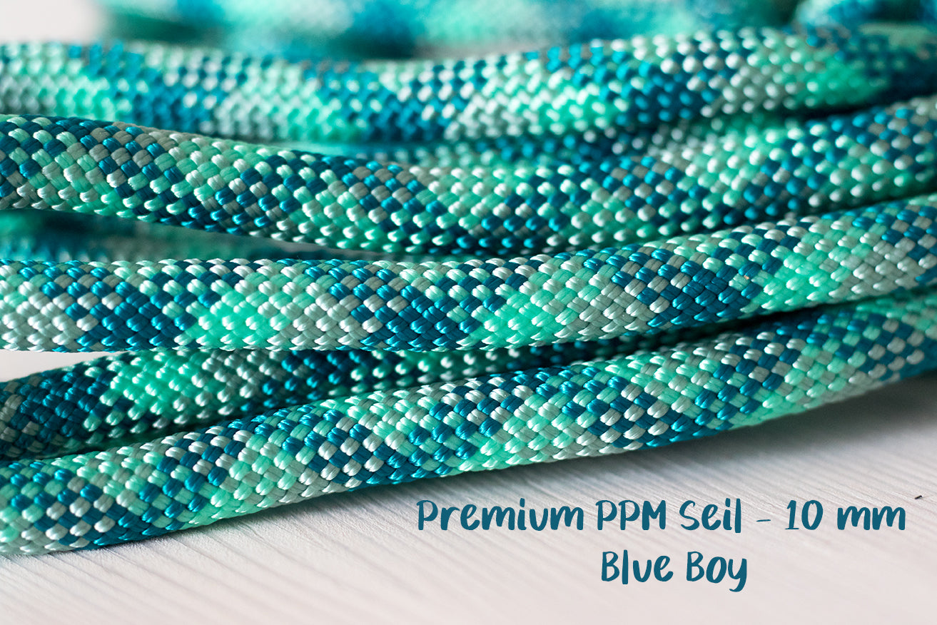 Hundeleine "Blue Boy" - Premium PPM Seil